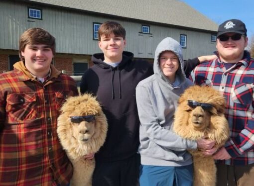 Eastland Alpacas hosts student visits