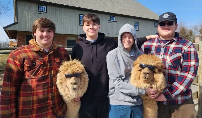 Eastland Alpacas hosts student visits