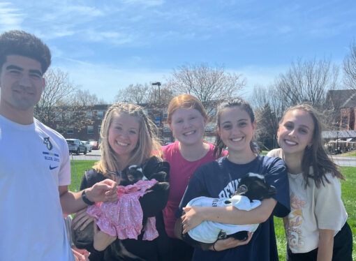 Activity Review: Goat yoga