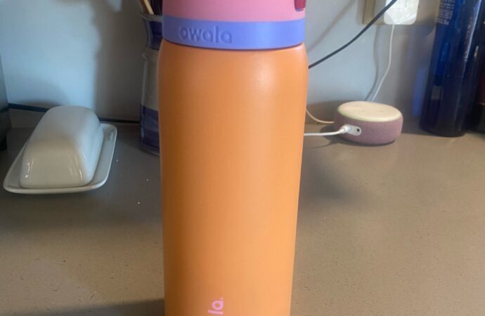 Horoscopes: What Owala water bottle should you buy based on your sign?