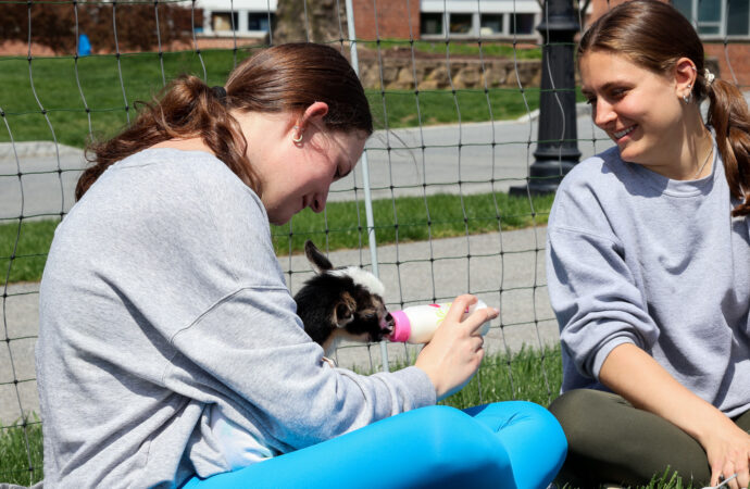 Students come together for goat yoga hosted by OSA