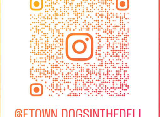 Dogs in the Dell: The Dogs in the Dell program has grown this year