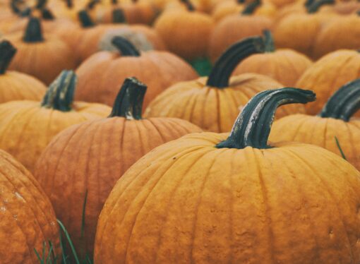 The Great Pumpkin Debate: Pumpkin Painting or Pumpkin Carving?