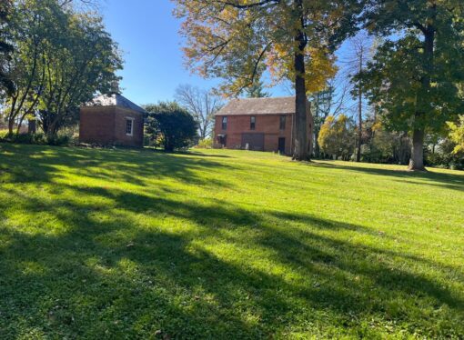 Local Sightseeing: Louise Arnold Tanger Arboretum