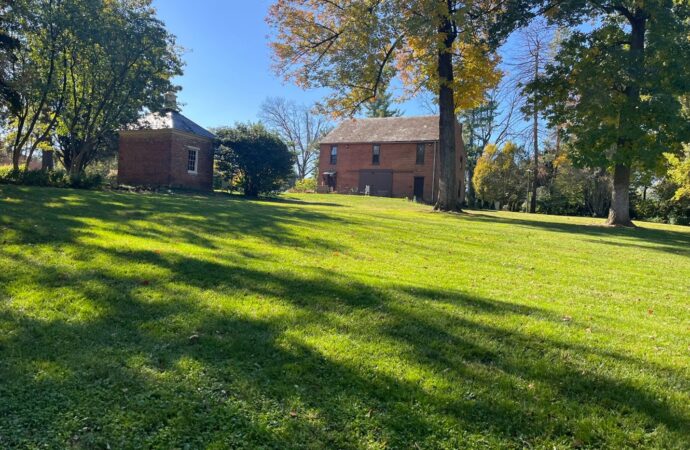 Local Sightseeing: Louise Arnold Tanger Arboretum