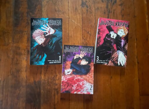 Media Review: Jujutsu Kaisen