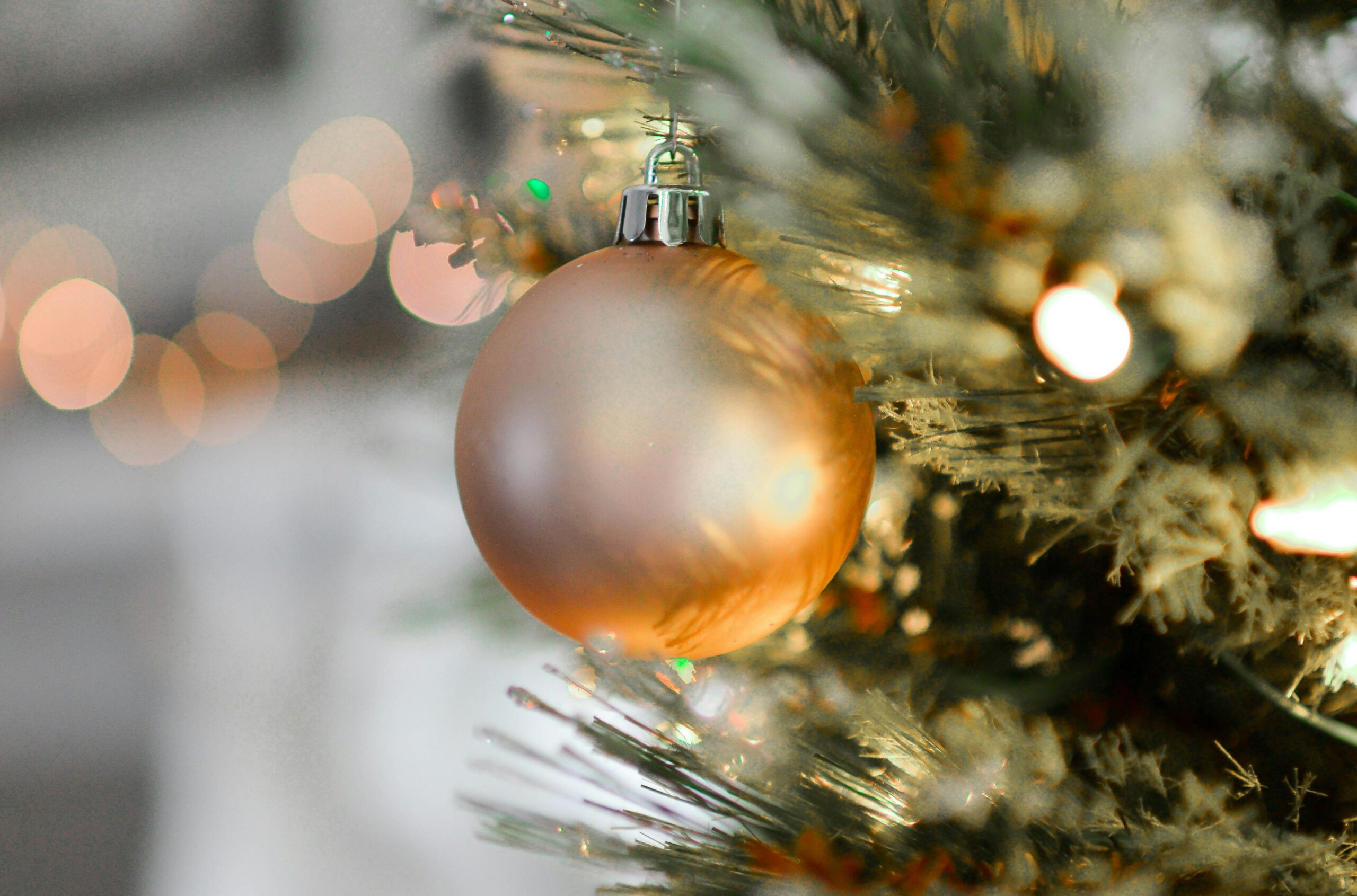 Debate of the Week: Christmas Decorations