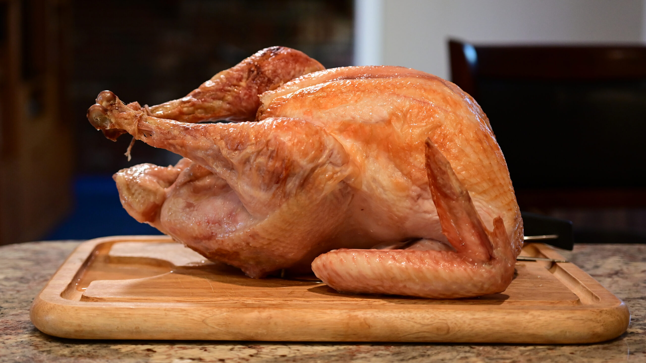 Debate of the Week: Light or Dark Turkey Meat?