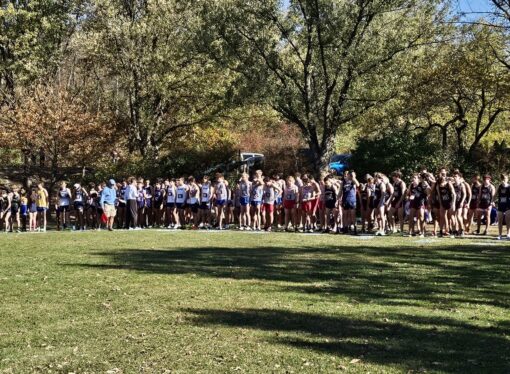 Multiple all-conference performers shine in cross country championships