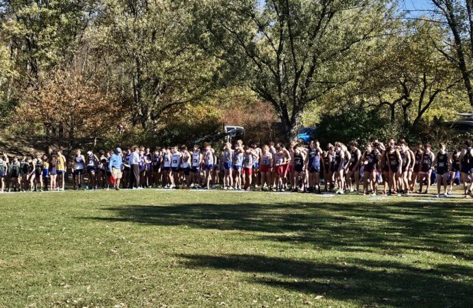 Multiple all-conference performers shine in cross country championships
