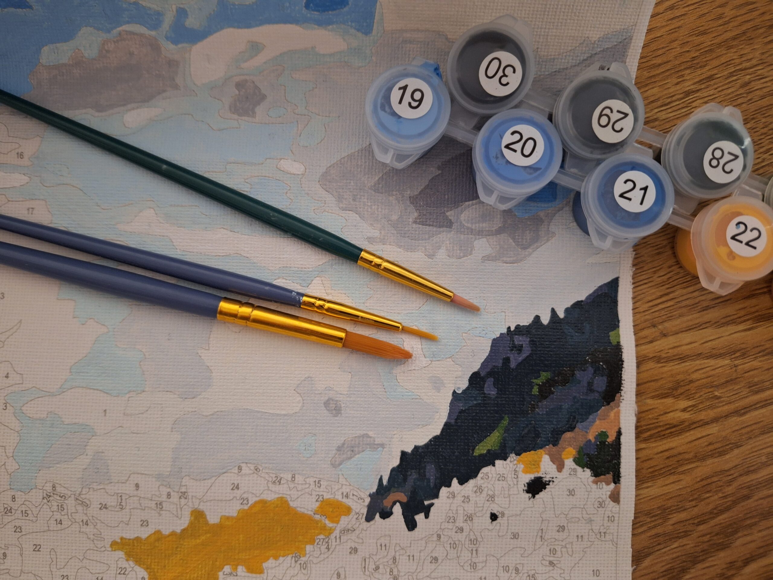 Activity Review: Paint by Numbers