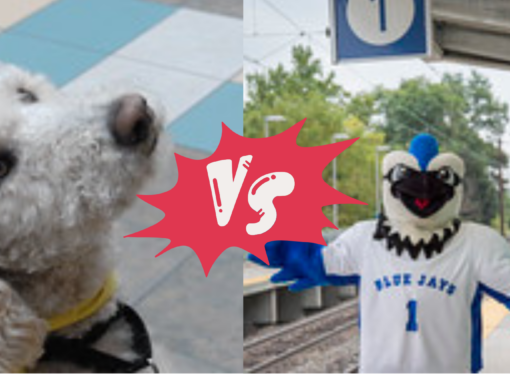 Debate of the Week: Who’s the better mascot, Blue or Truman?