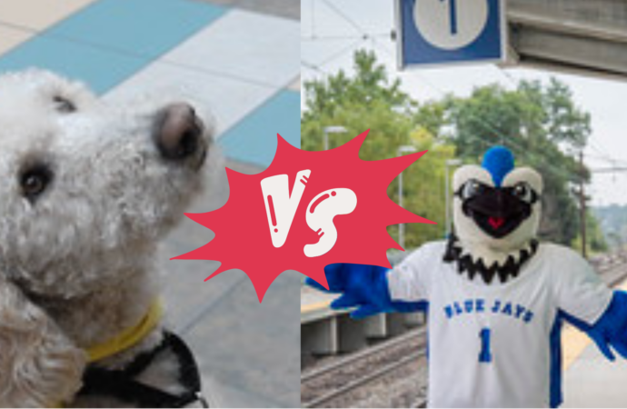 Debate of the Week: Who’s the better mascot, Blue or Truman?