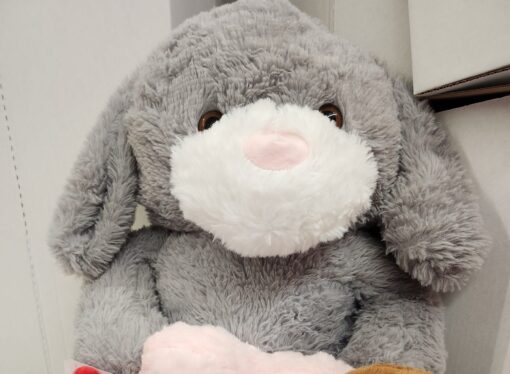 Horoscopes: What Valentines gift you get based on your zodiac