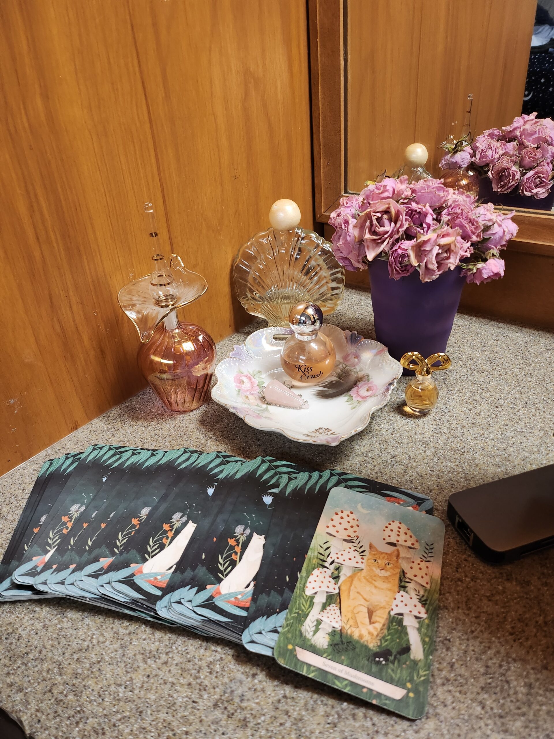 Activity Review: Tarot Reading