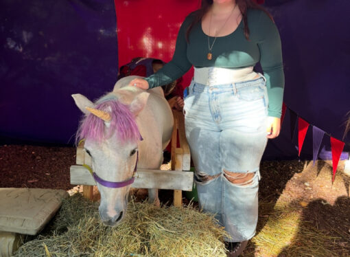 Club Feature: Jousting Club