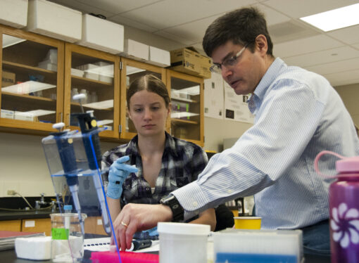 Science department to offer Medical Laboratory Science major
