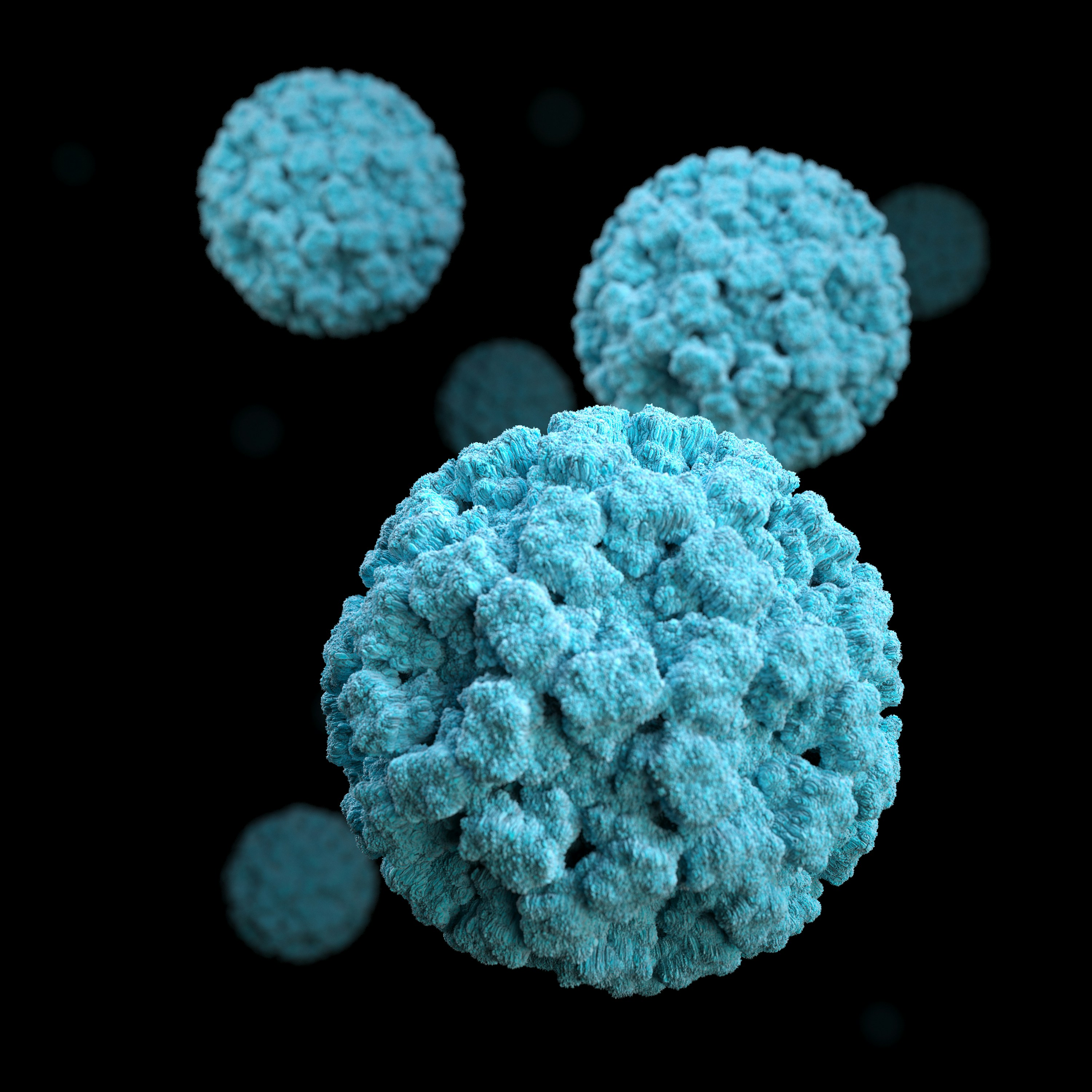 Norovirus strikes at Elizabethtown