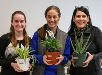 Plants and People: How Biology Explains the Healing Power of Nature