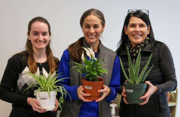 Plants and People: How Biology Explains the Healing Power of Nature