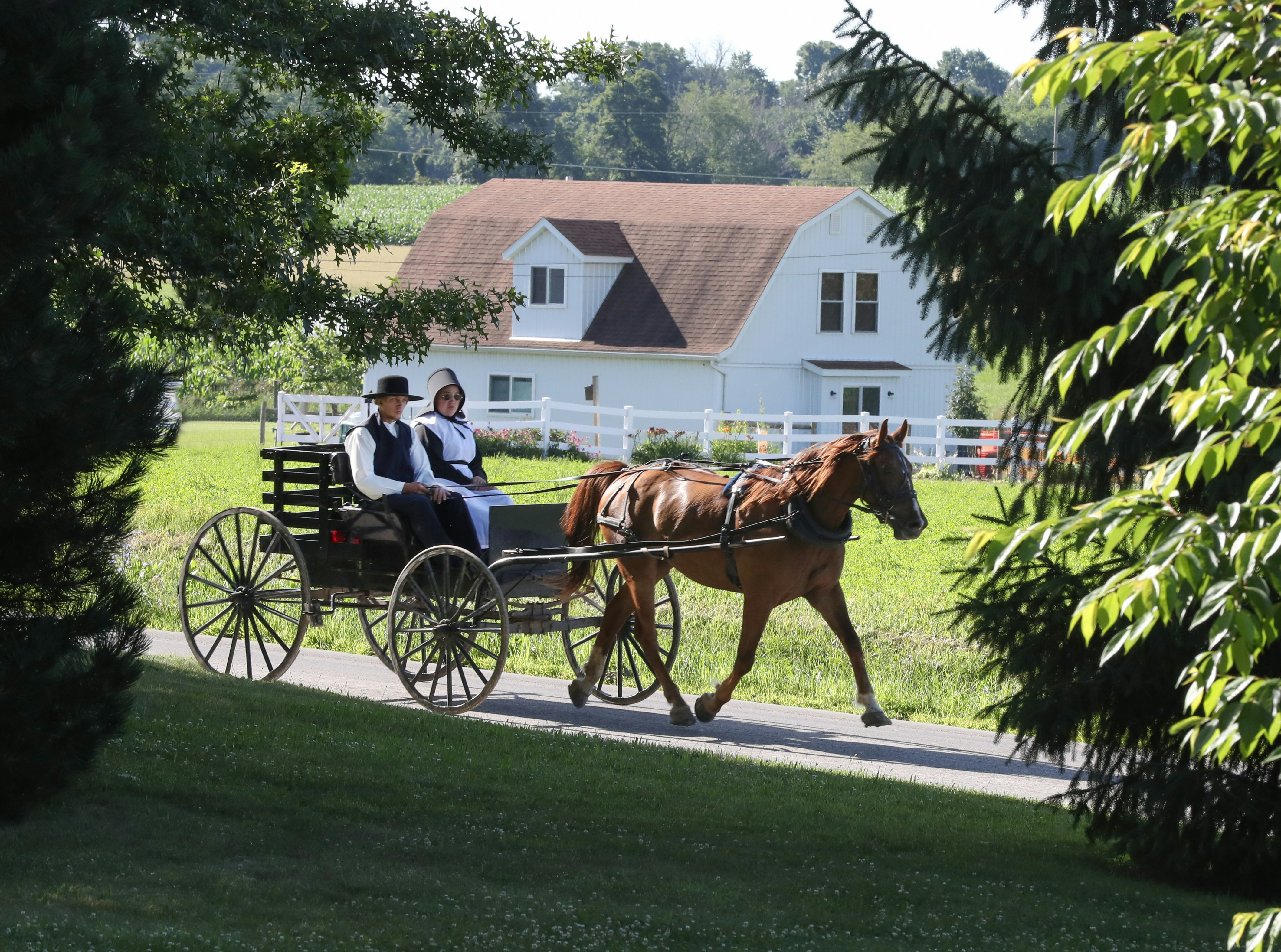 Today’s Tech: Amish Engineers create PlainSpeak AI
