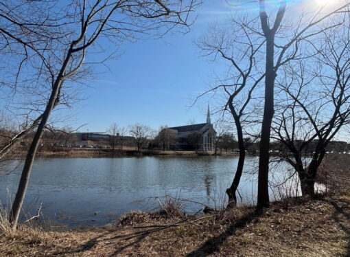 Local Sightseeing: Lake Placida