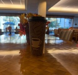 Seasonal Treats: What fall themed drinks and foods do Etown students enjoy?