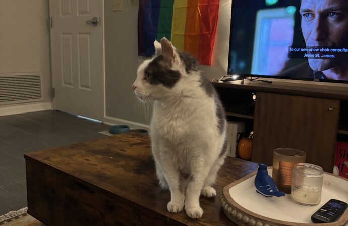 Welcome to the Jungle: meet Biscuit