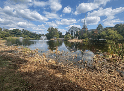 Vegetation cleared from Lake Placida sparks campus concern