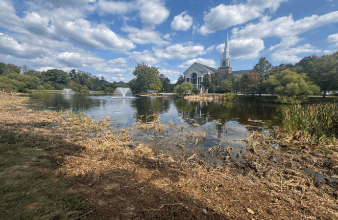 Vegetation cleared from Lake Placida sparks campus concern