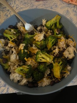 College Living: Quick Easy Meals