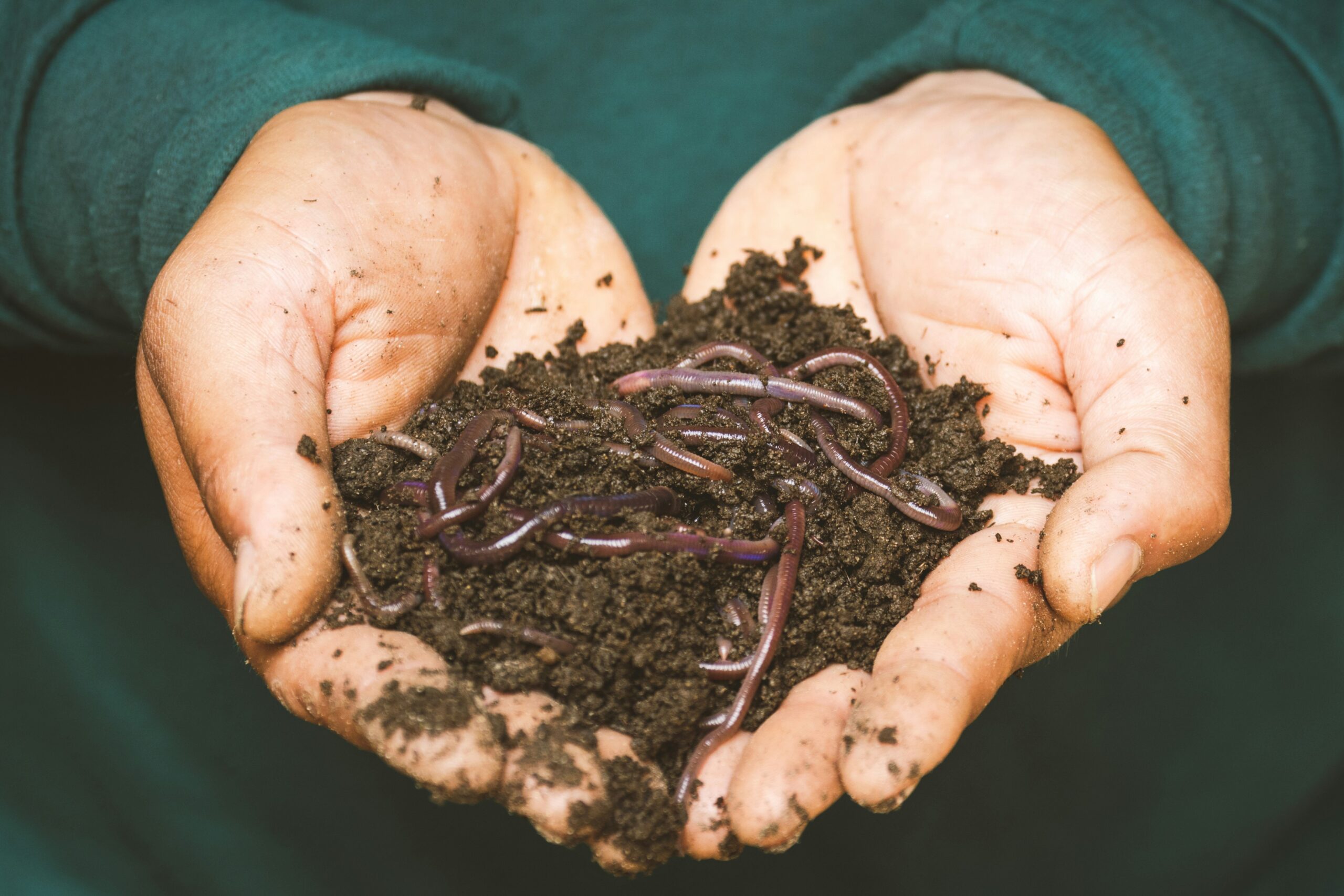 Recipe Review: Dirt pudding