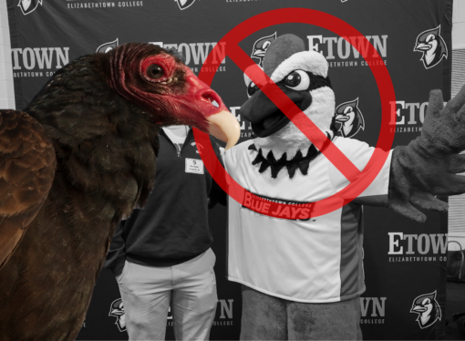 Vulture replaces Blue Jay as college mascot