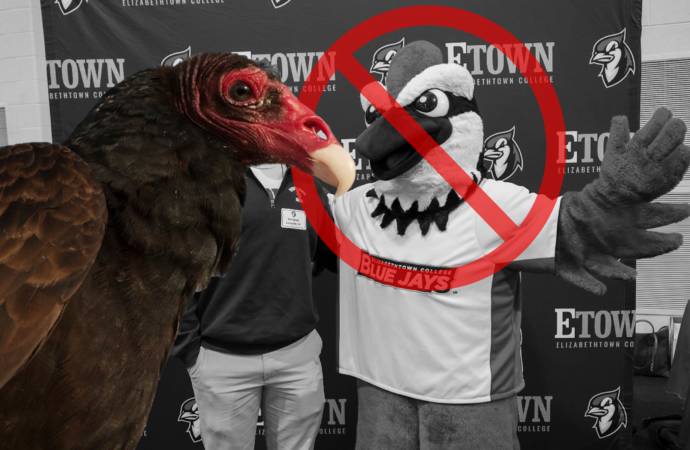 Vulture replaces Blue Jay as college mascot