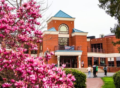 How do Elizabethtown College professors feel about AI?