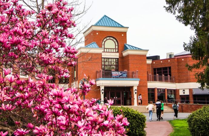 How do Elizabethtown College professors feel about AI?