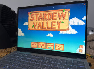 Media Review: Stardew Valley