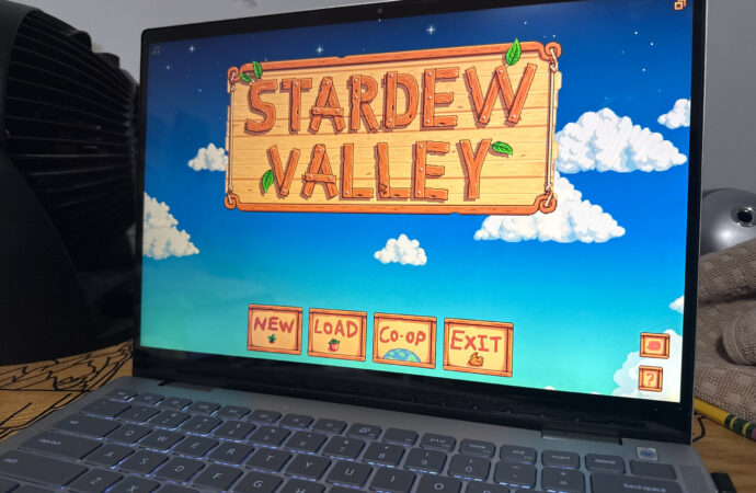 Media Review: Stardew Valley