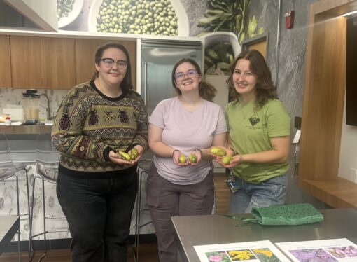 Exotic fruit on our very own campus!